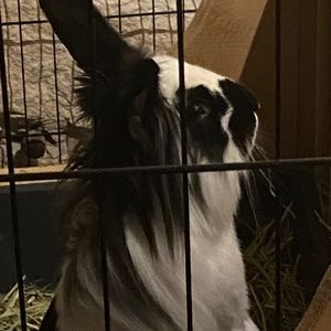 Meet your Posher, Vera